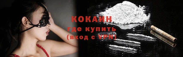 прущие грибы Михайловка