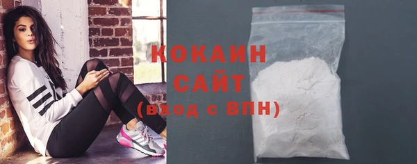 прущие грибы Михайловка