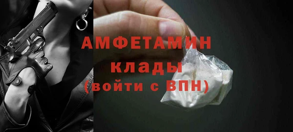 прущие грибы Михайловка
