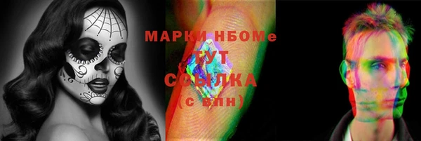 прущие грибы Михайловка