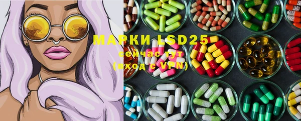 прущие грибы Михайловка