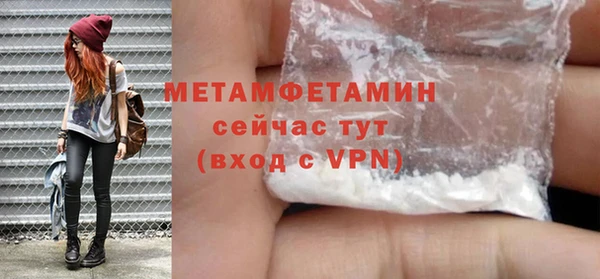 прущие грибы Михайловка
