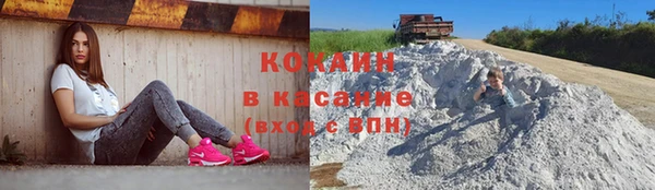 прущие грибы Михайловка