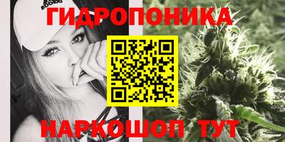 гидра Апрелевка