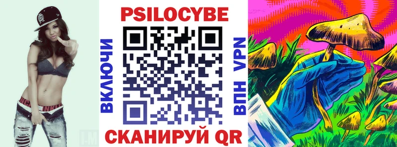 кракен зеркало  Гагарин  Галлюциногенные грибы мицелий 