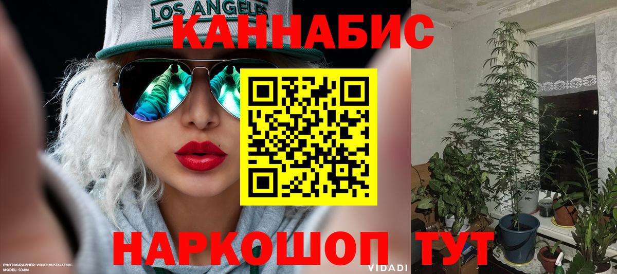 Бошки марихуана ГИДРОПОН  Каннабис OG Kush  Гагарин  Канабис гибрид 